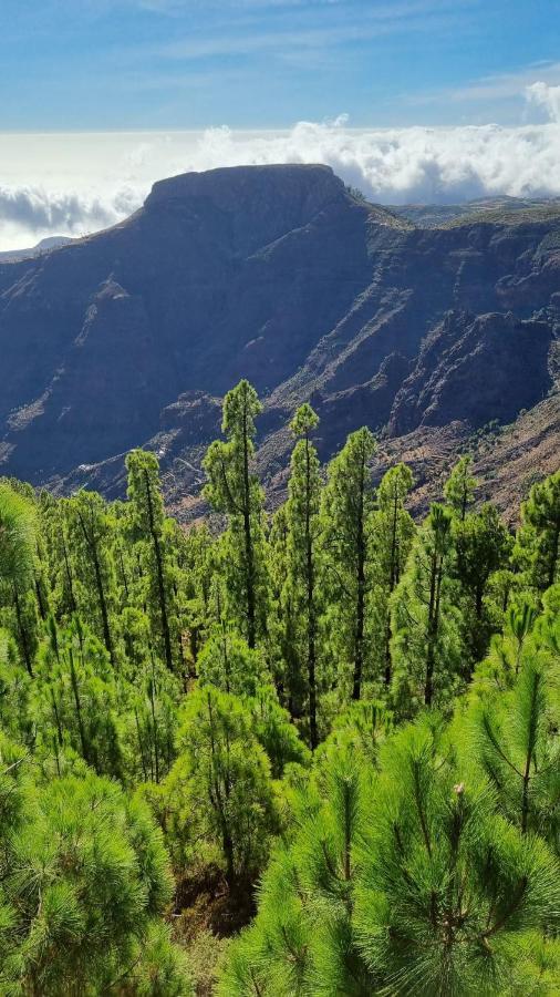 Casa Doris Leilighet San Sebastián de la Gomera Eksteriør bilde